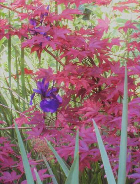 Beautiful colors in the Spring