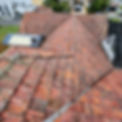 20230124_083228.jpg