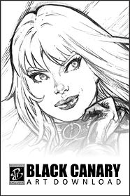 Black Canary 3.jpg