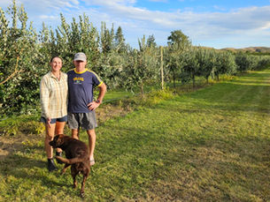 Hand-Picked, Home-Grown: The Fuller Feijoas Story