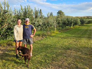 Hand-Picked, Home-Grown: The Fuller Feijoas Story