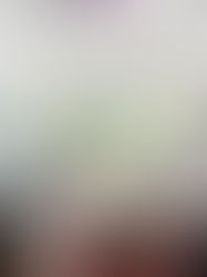 Pourquoi les photos HDR sont indispensables pour vendre votre bien immobilier dans le Nord
