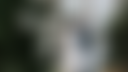 Vos questions les plus fréquentes que vous nous posez lorsque vous recherchez votre photographe de mariage à Lille