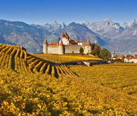 chateau_d_aigle.jpg