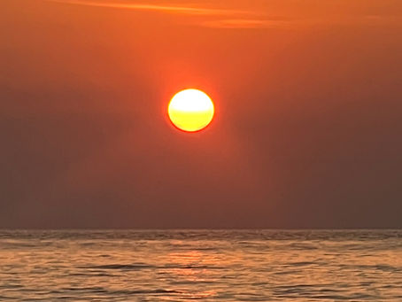 Finding Peace in Midlife: When You Stop Chasing, Life Begins to Find You