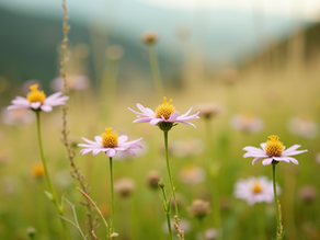 Letting Go: Embrace the Unknown