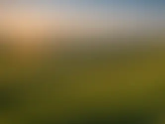 Unleashing the Power Within: Igniting Your Mindset for Limitless Personal Growth