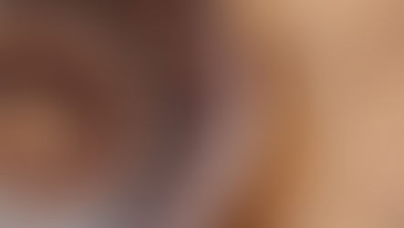 Amateur paleontologists uncover ancient biodiversity oasis