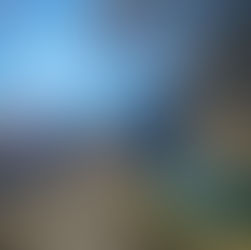 Ein erster Präsenzkurs Fährtenlesen