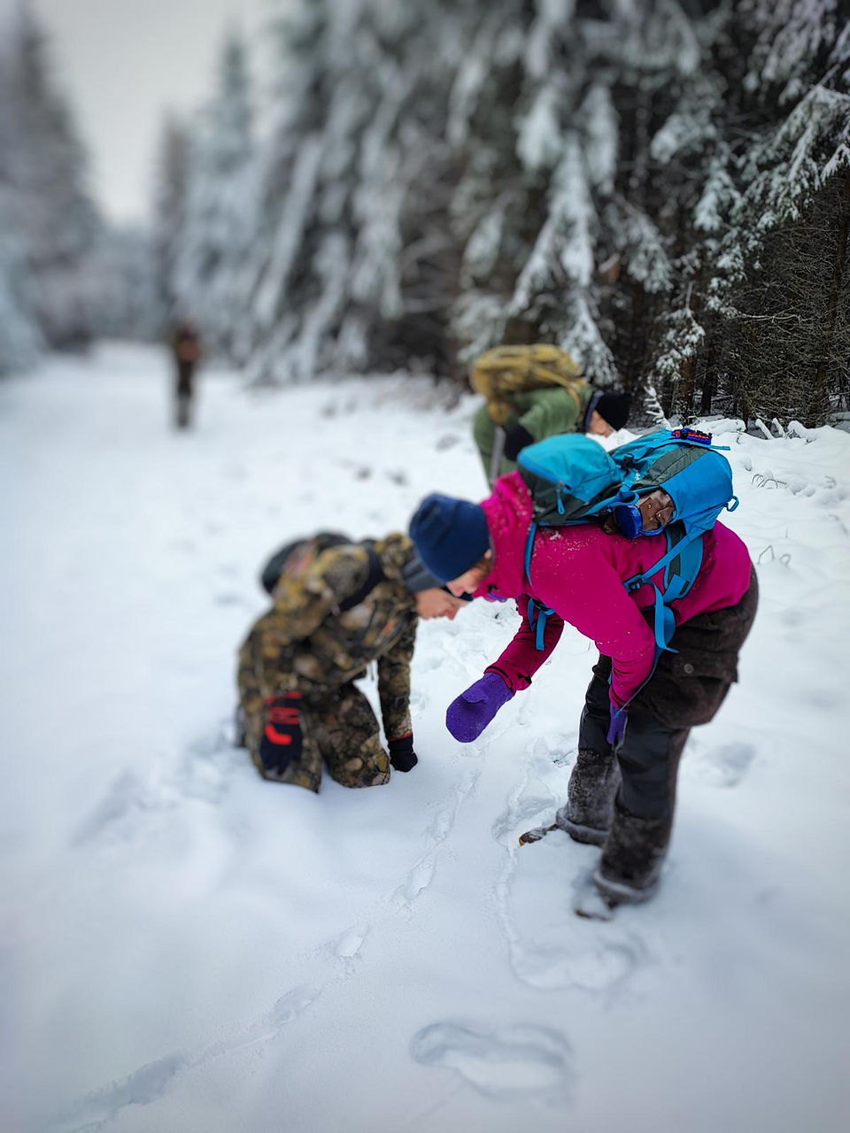 Teilnehmer im Kurs Spurenlesen im Schnee