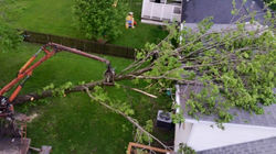 picking a tree off of a house