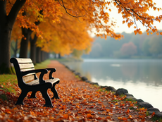 Hope After the Heartache of Losing a Child