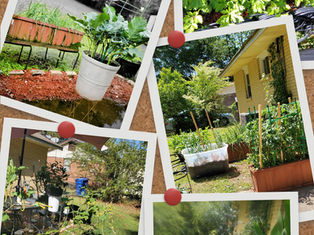 Gardening Tips to get started.