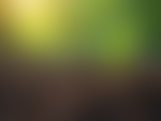 Nurturing Seeds of Reflection: A Journey Through Honest Stories and Lessons