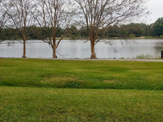 We Were . We Swore We'd Do Better. "Parenting"