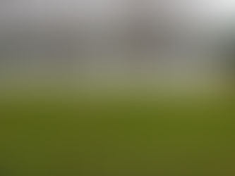 We Were . We Swore We'd Do Better. "Parenting"