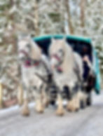 BrianTravels-Neuschwanstein_03