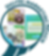 HaywardCreative-Service-09.png