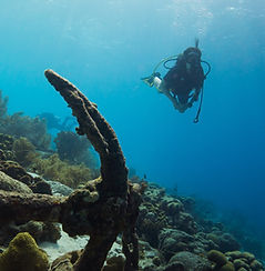 Dive Spot
