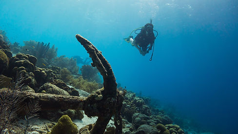 Dive Spot