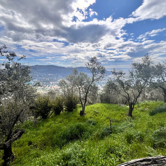 Astapiana Villa Giusso panorama