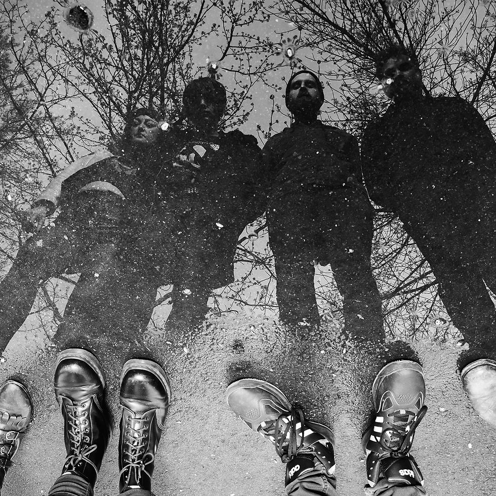 Dead Leaf Echo