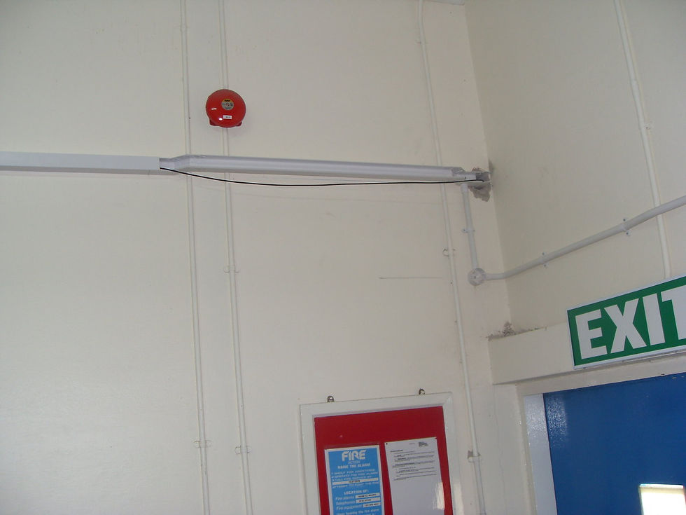 SDC11321.JPG