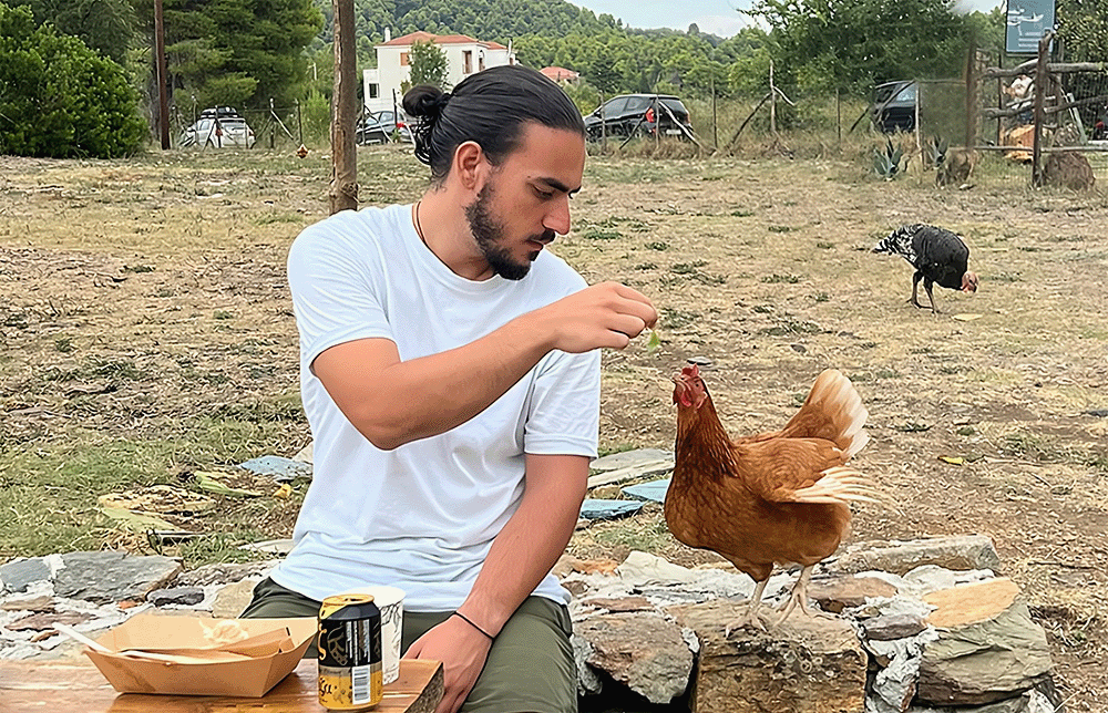 Panos-transformed.gif