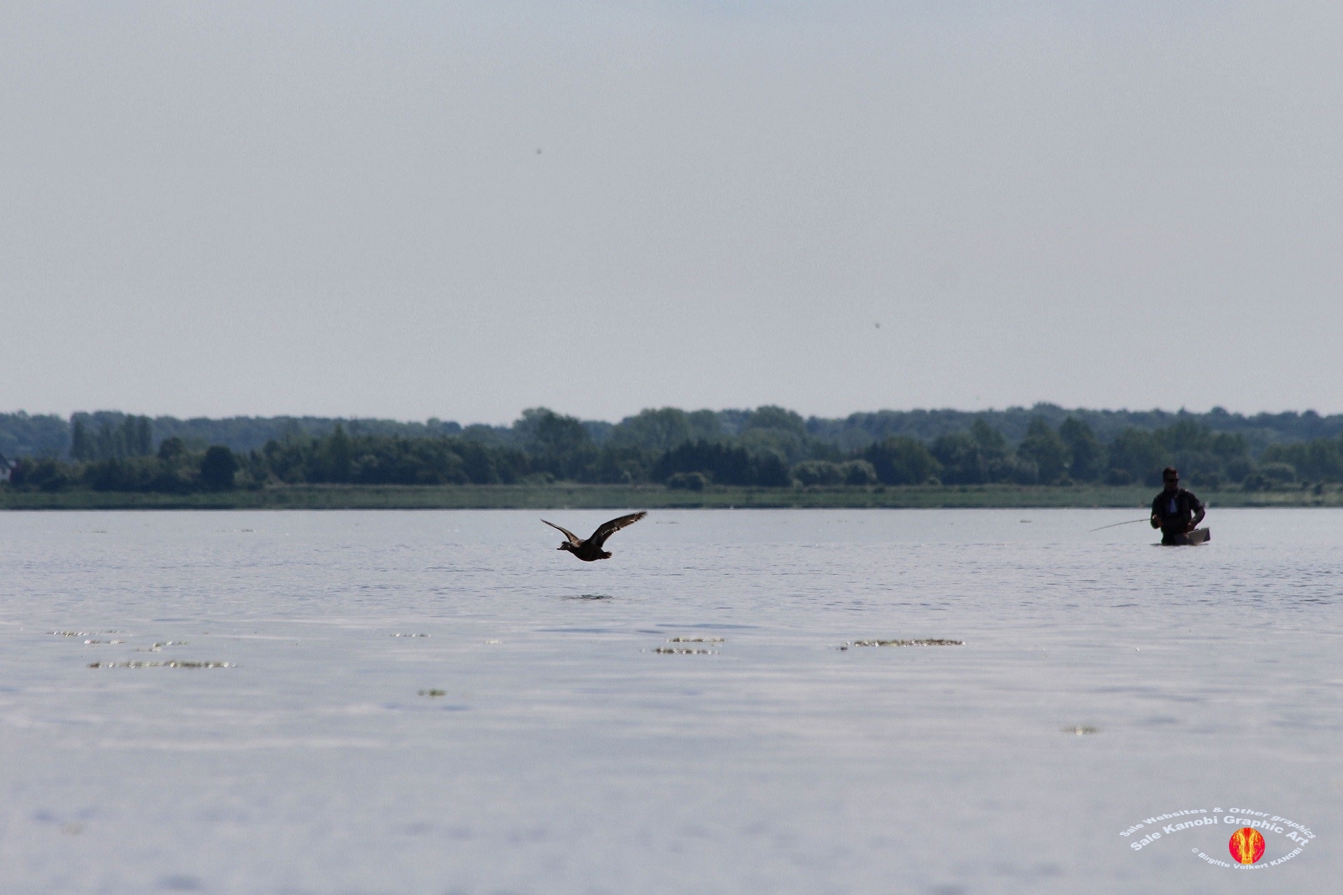 Odense Fjord Kayak 1