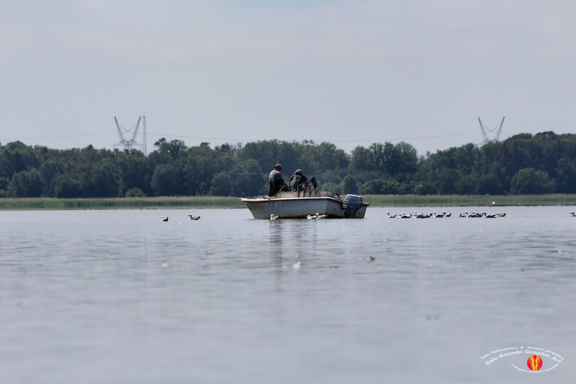 Odense Fjord Kayak 2