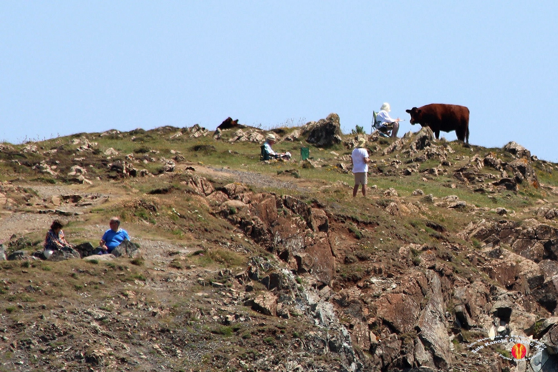 Kynance Cove 42