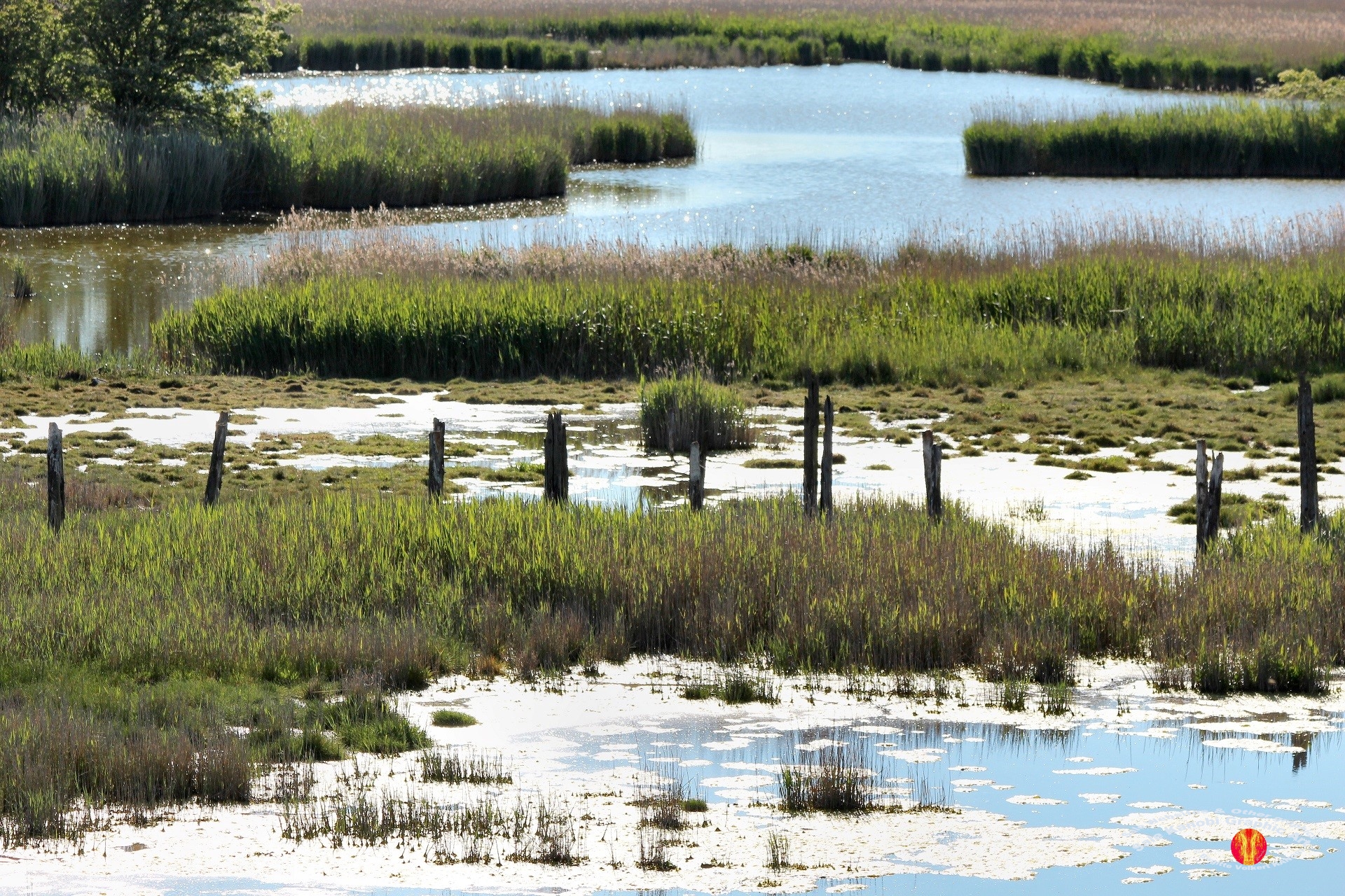 Otterup Harbour 8