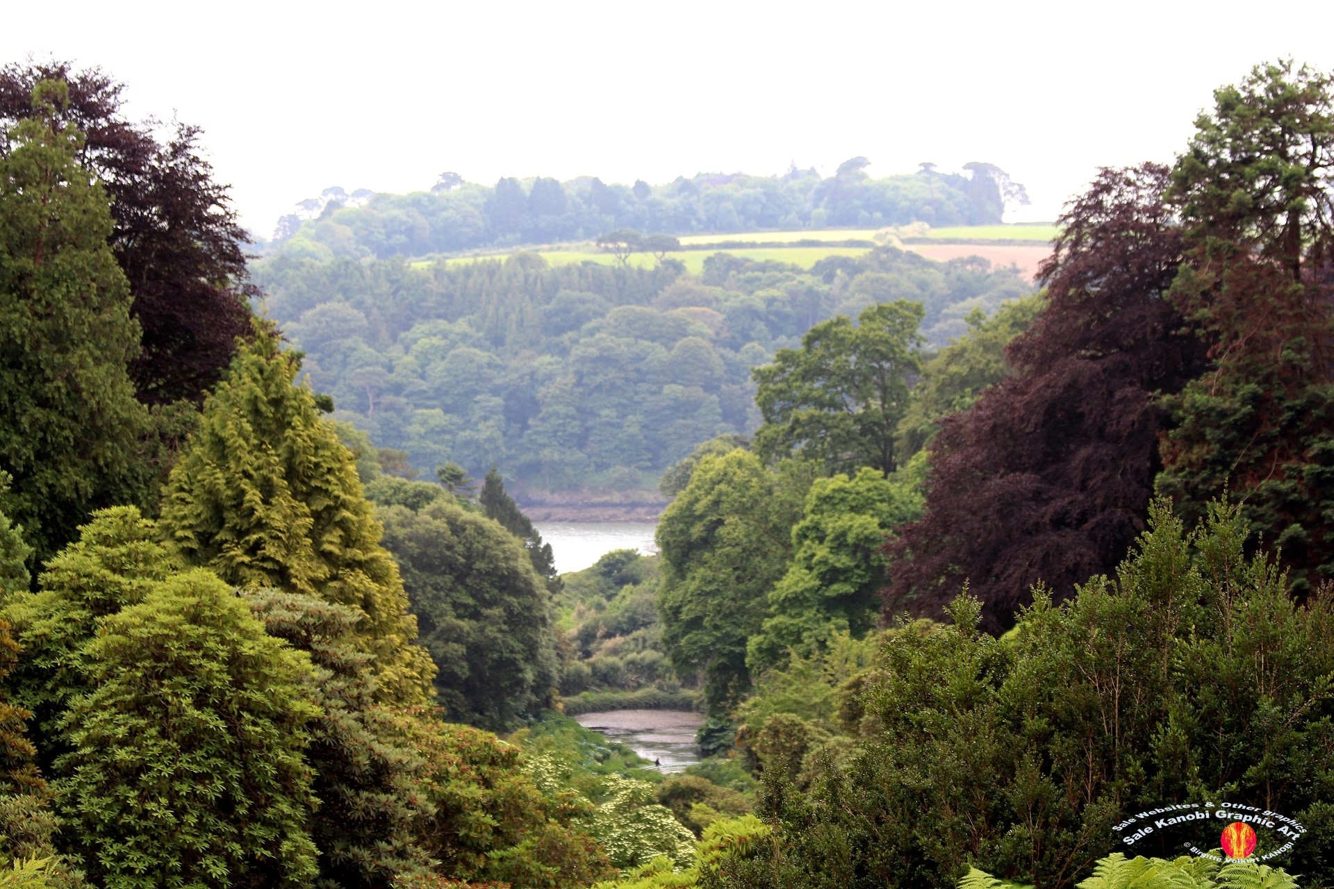 Trebah Garden 1