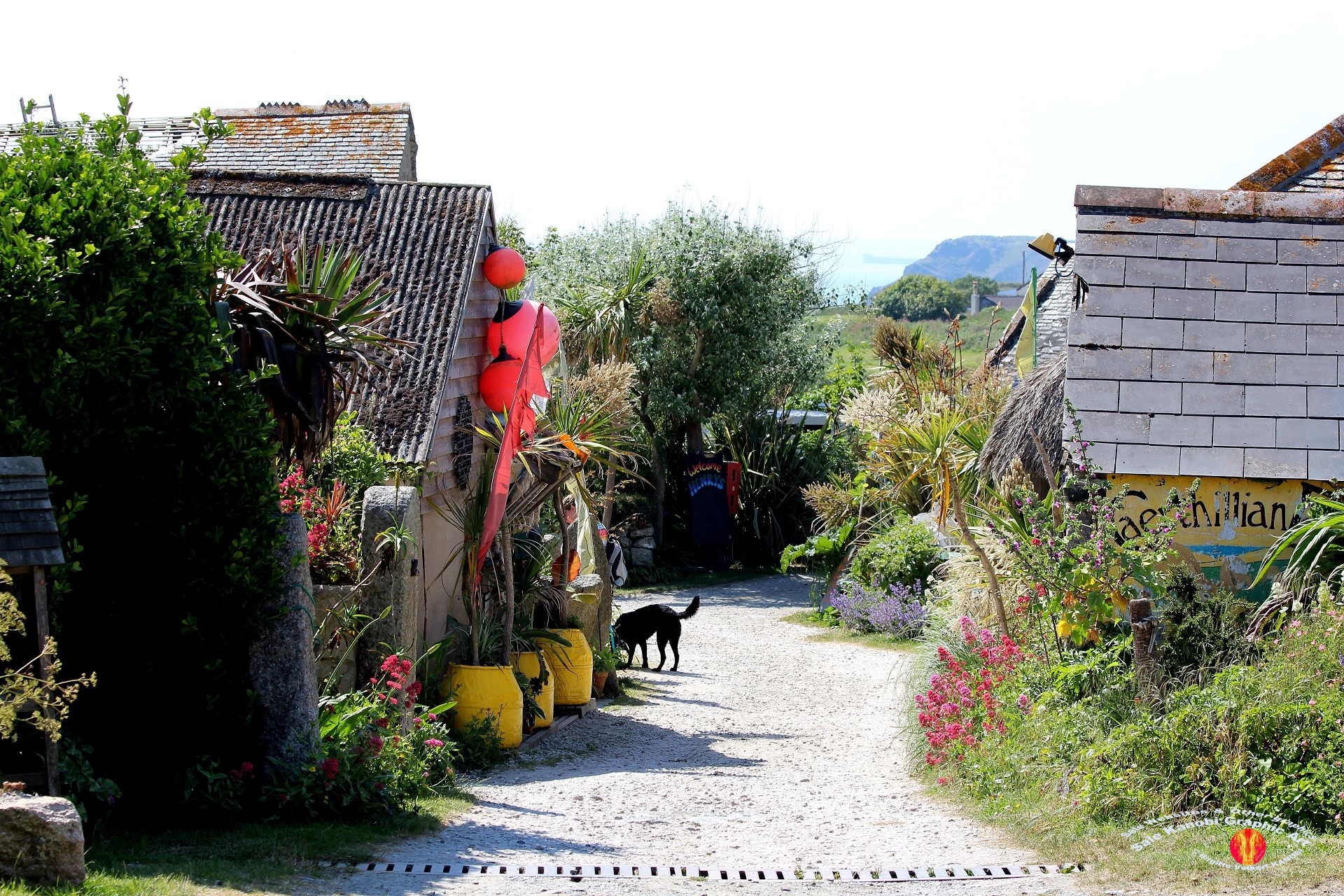 The Farmer Shop 5