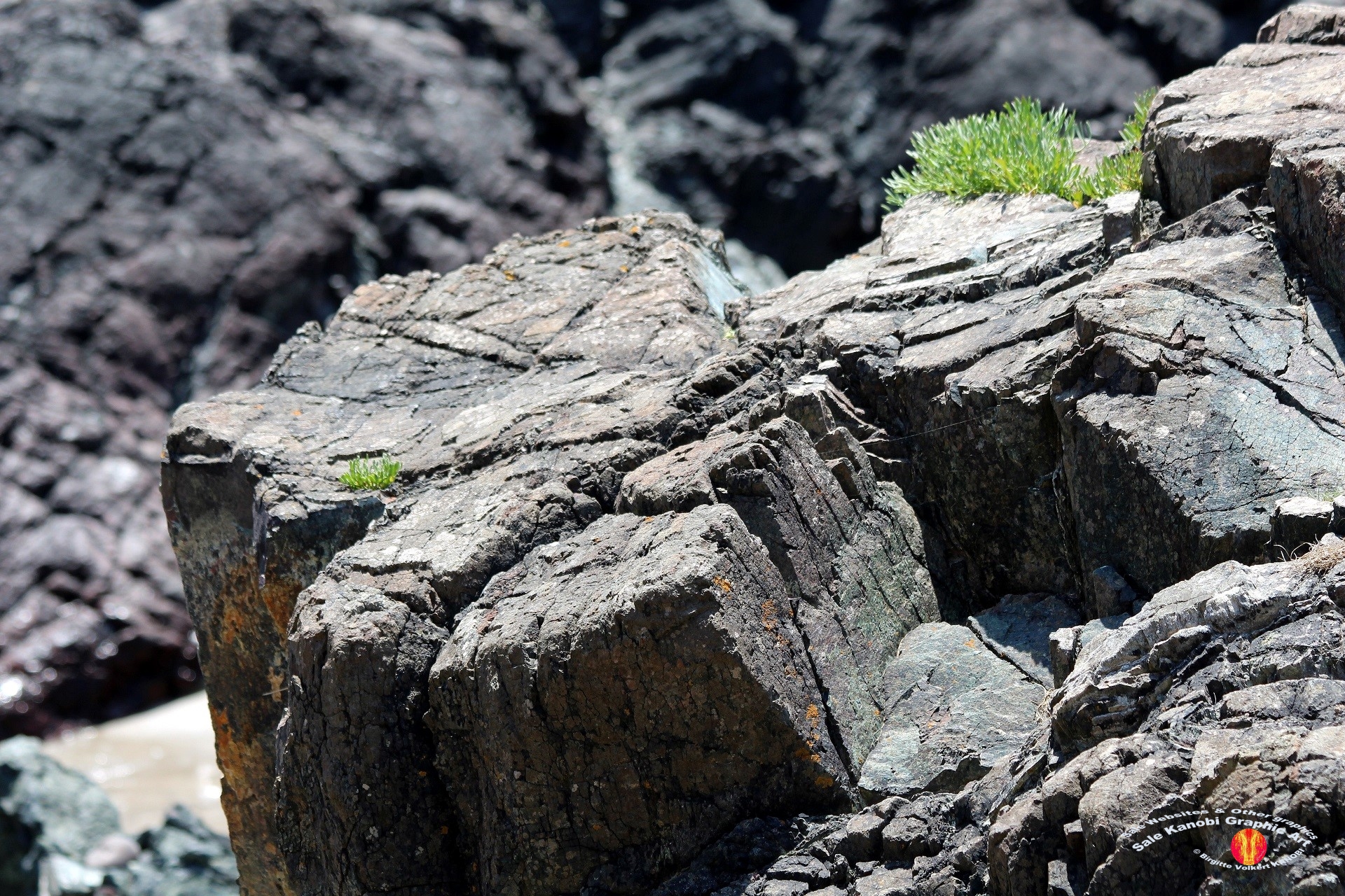 Kynance Cove 39