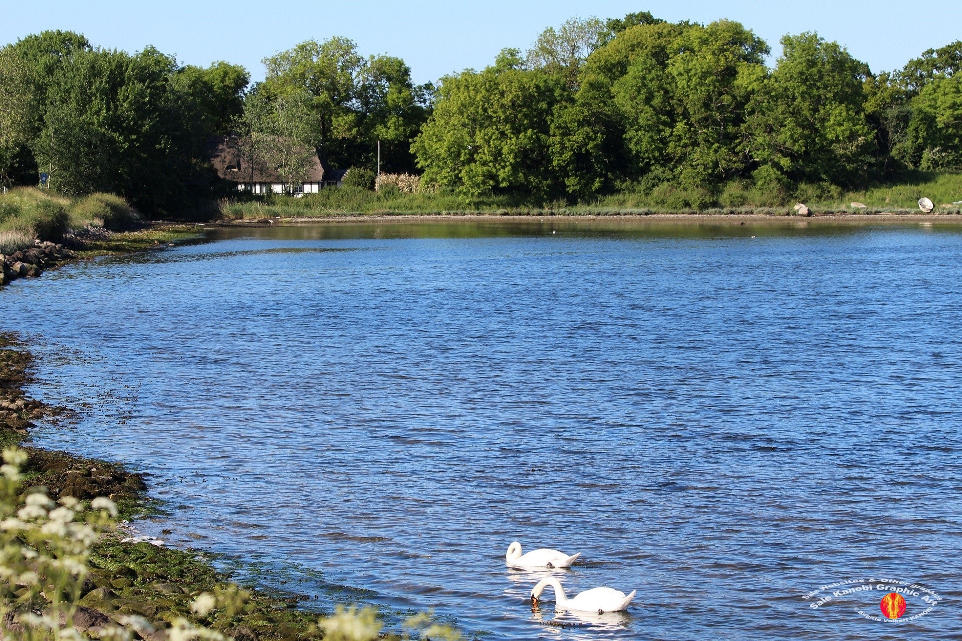 Otterup Harbour 30