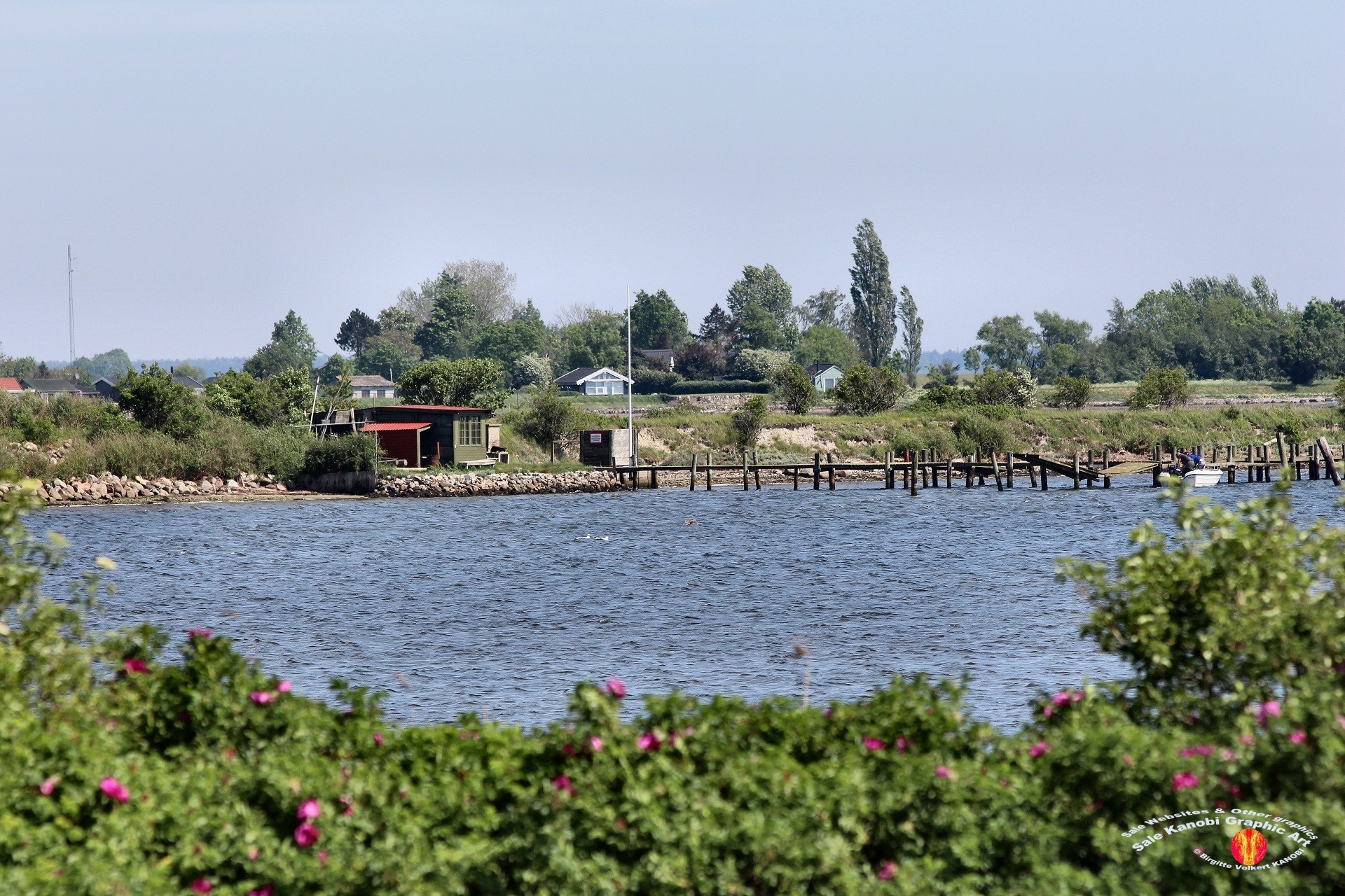 Odense Fjord Kayak 24