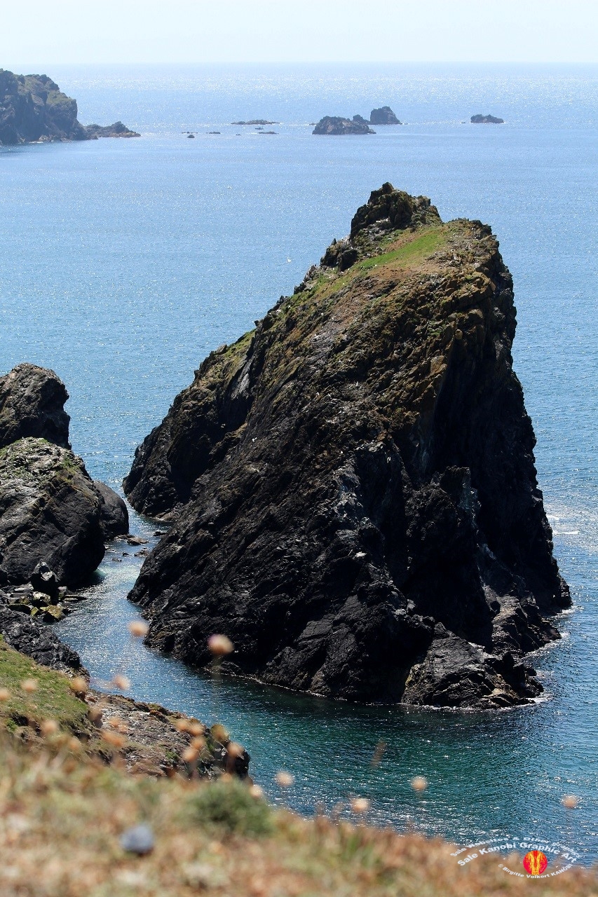 Kynance Cove 16