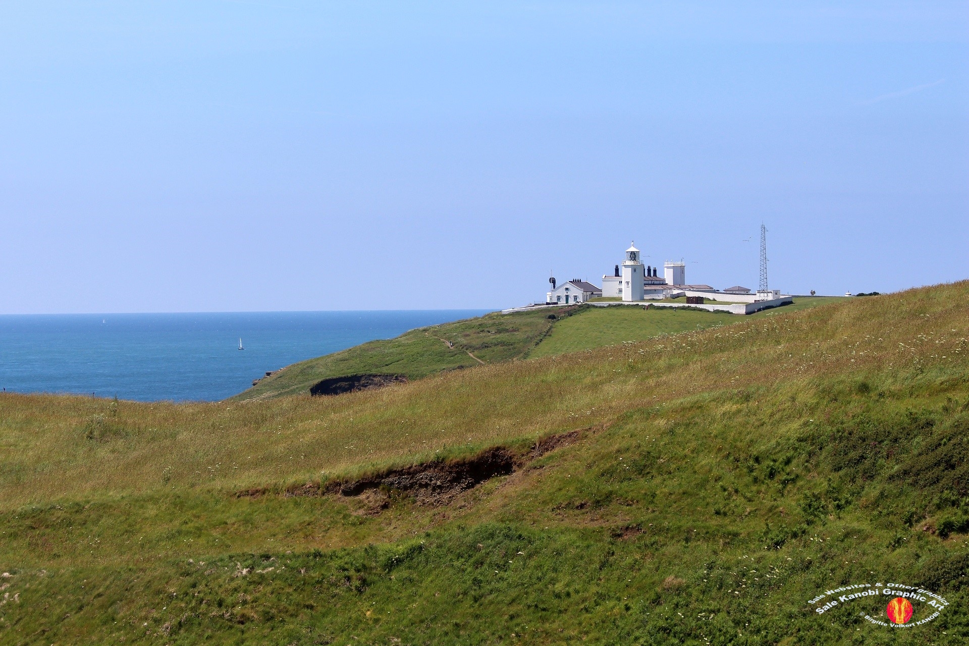Light House Lizard 6