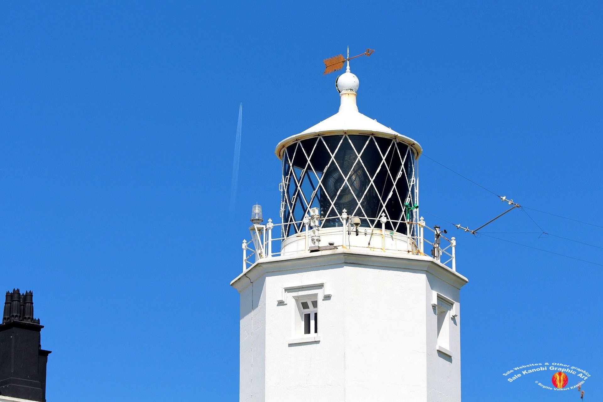Light House Lizard 15