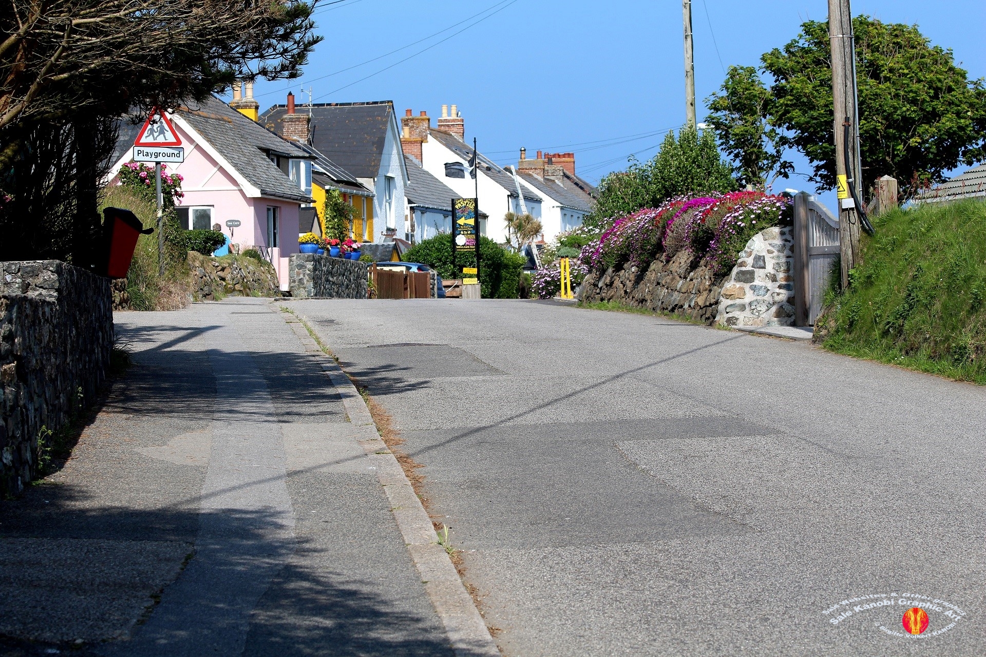 Village Lizard 1