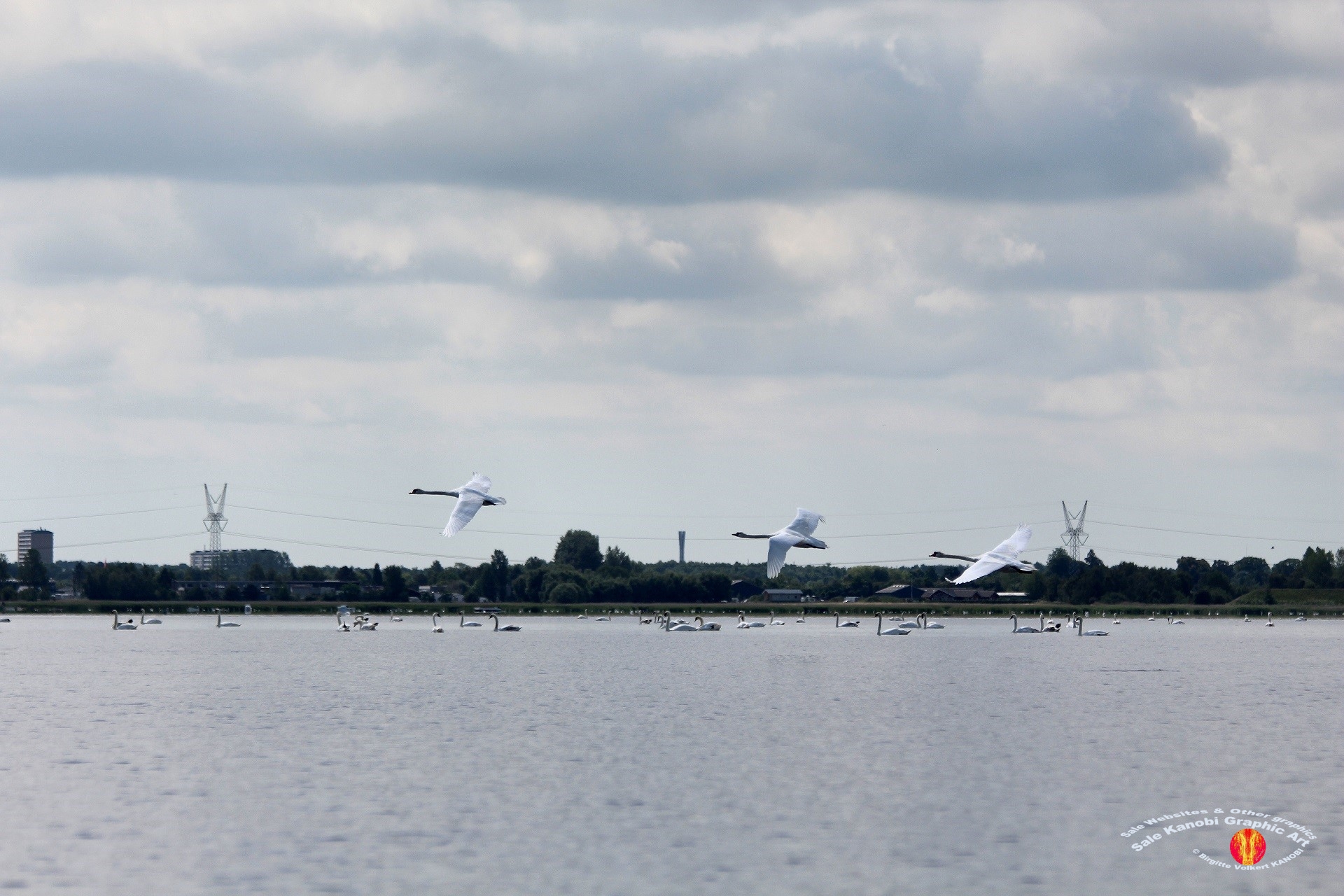 Odense Fjord Kayak 16