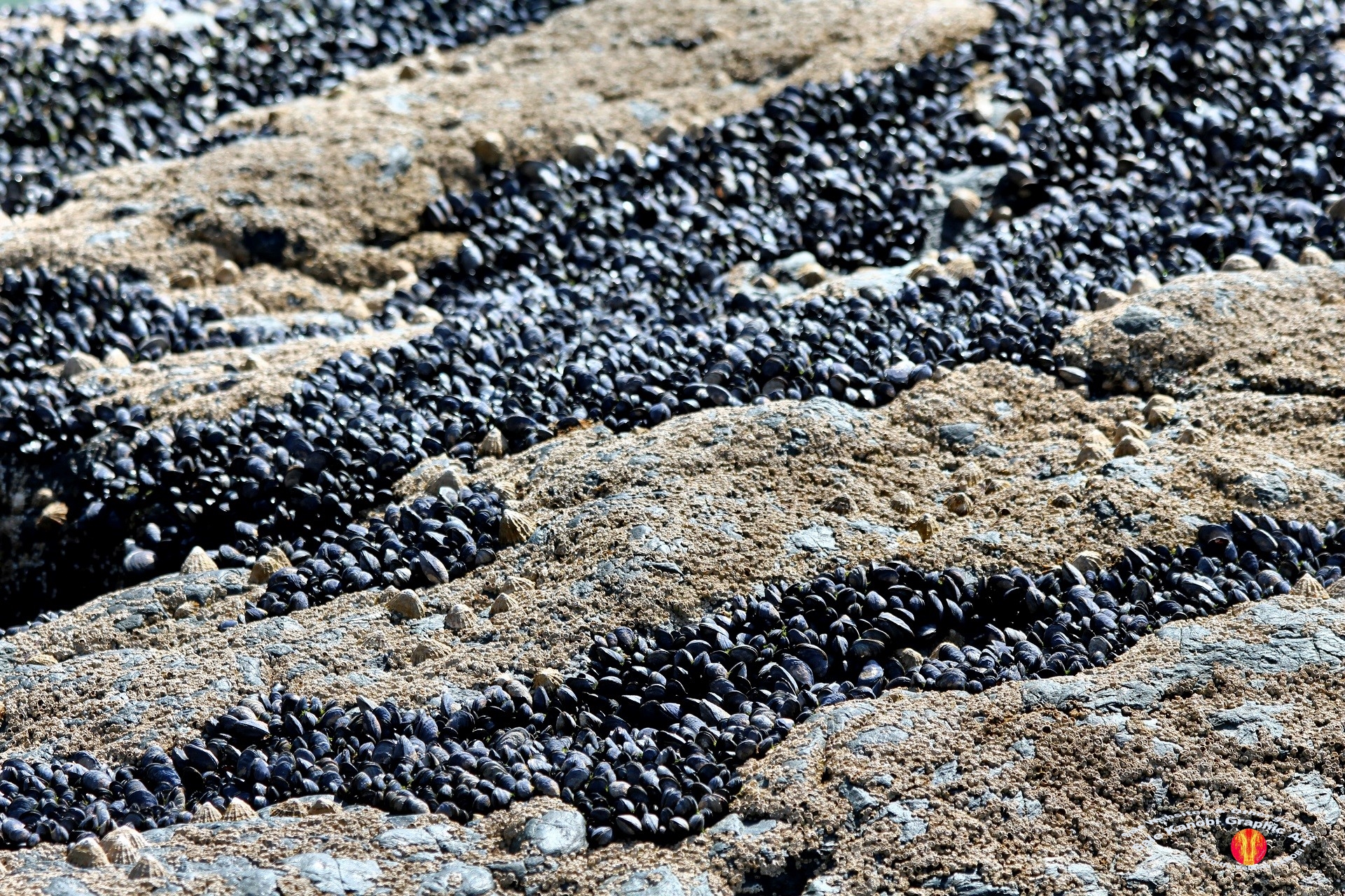 Housel Bay Beach 23