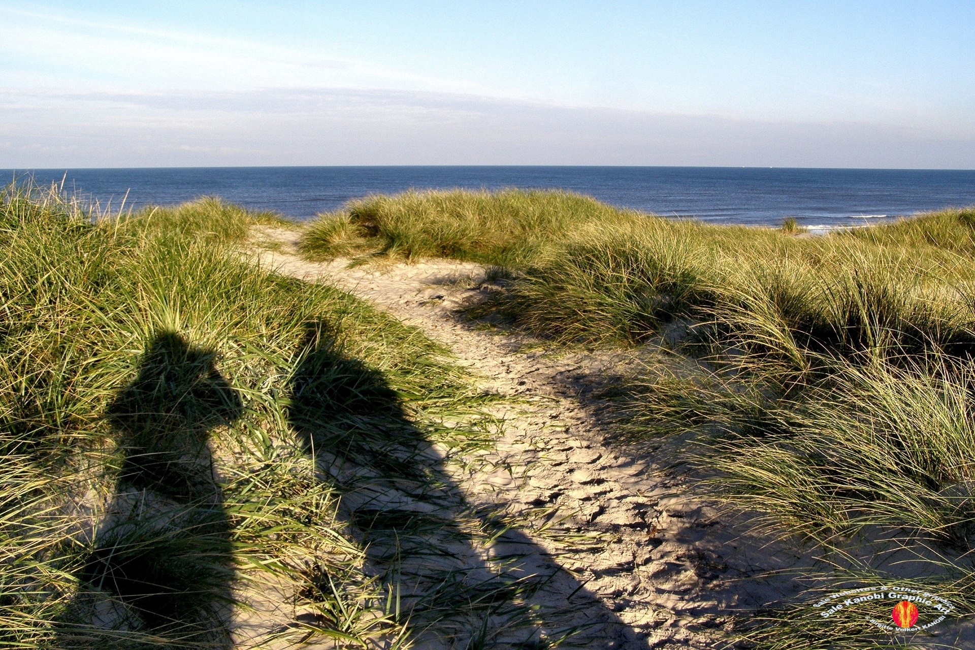 Vejers 57