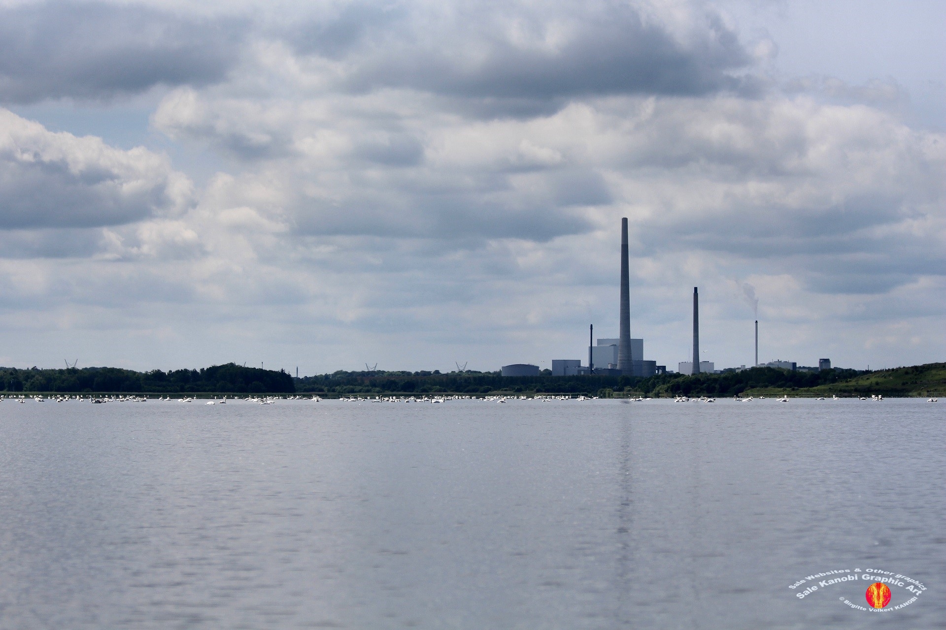 Odense Fjord Kayak 11