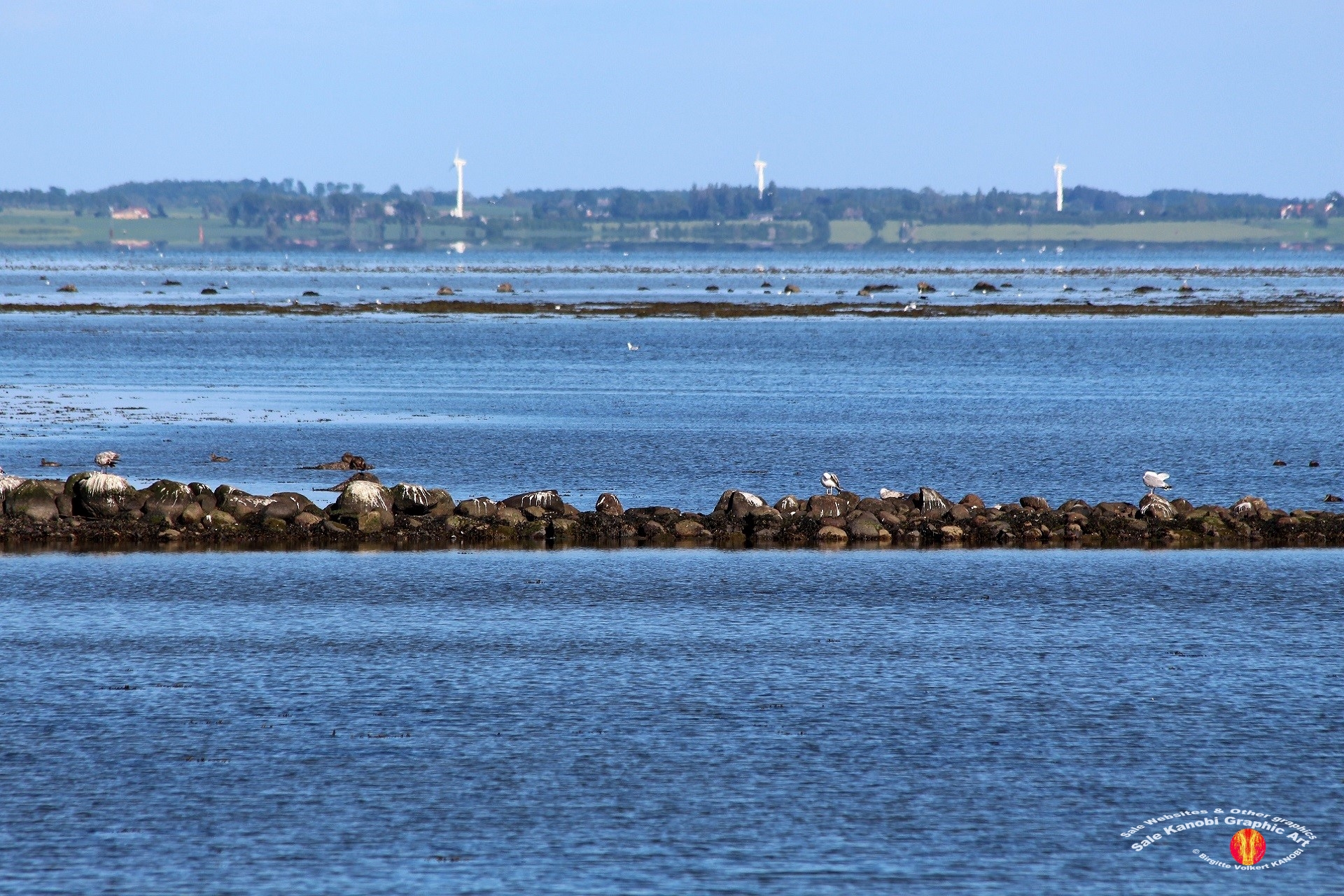 Otterup Harbour 39