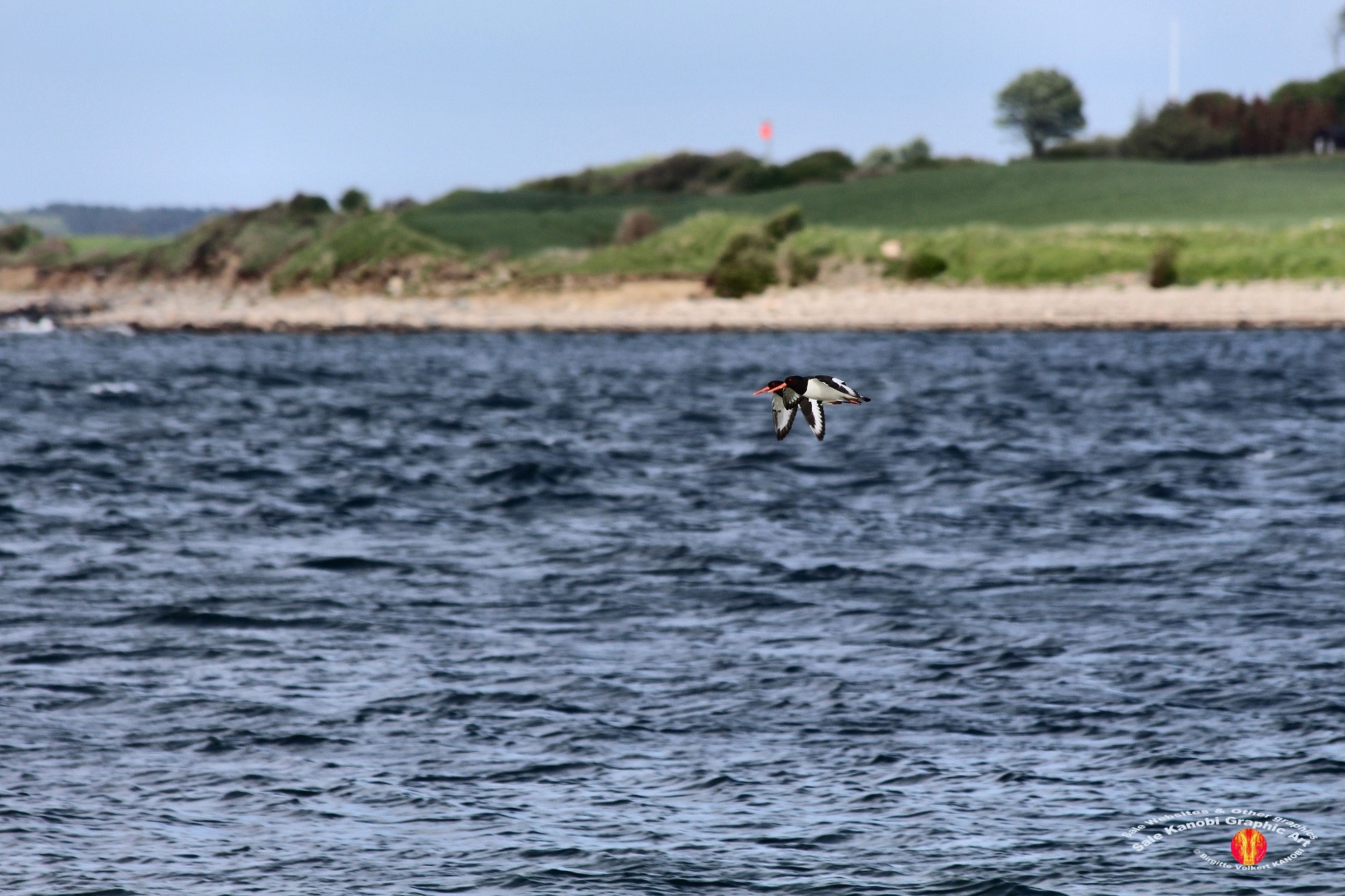 Enebærodde 28