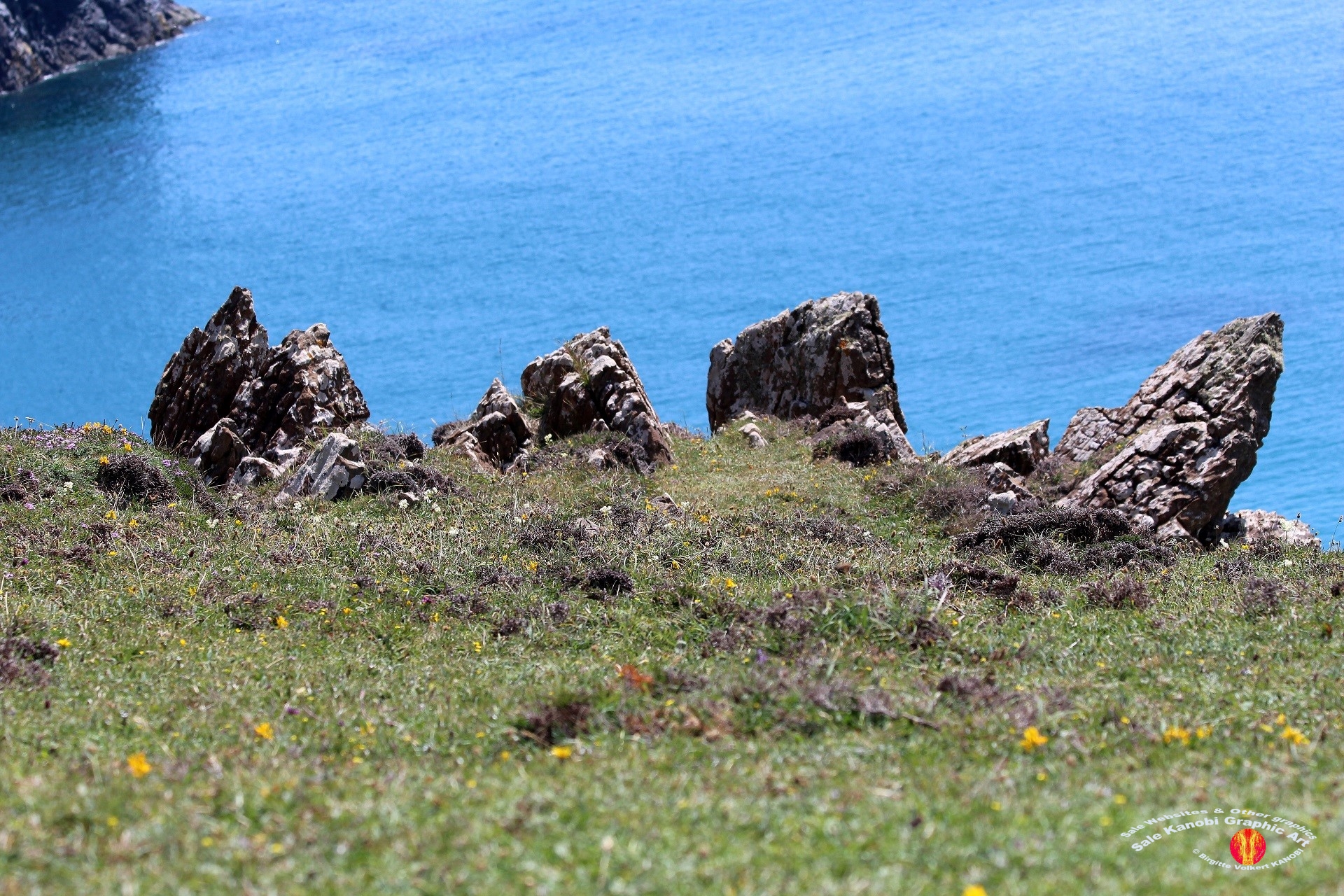 Kynance Cove 46