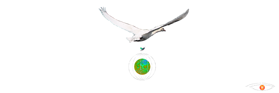 Link Digital Art Kanobi® Graphic Art..pn