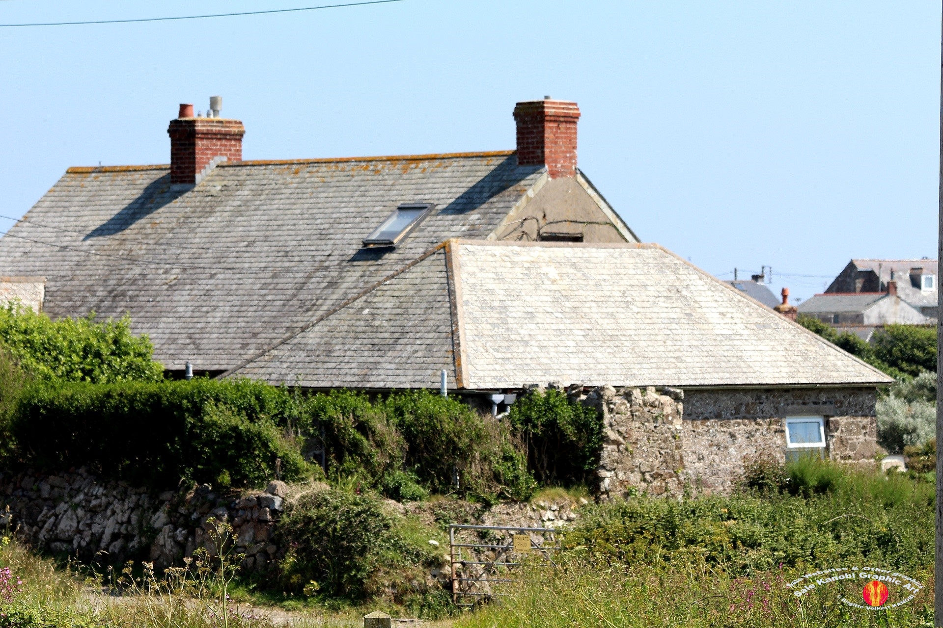 Village Lizard 52